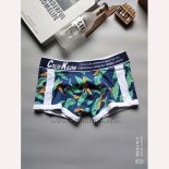 Boxer Coliv Kilom Hombre Colorful Blanco Azul